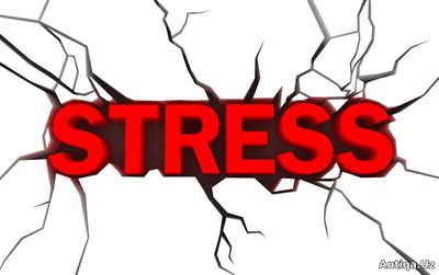 Stressdan qutulish yo'llari haqida