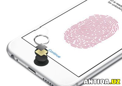 OAV yangi iPhone 7’ga qo‘sh kamera o‘rnatilishidan xabar topdi